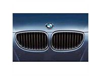 BMW 525xi Grille - 51712155447